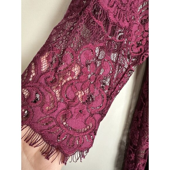 Adrianna Papell Purple Lace Sheer Long Sleeve Sheath Dress Size 18W Party - Picture 2 of 9